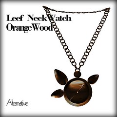 NeckWatch_OrangeWood