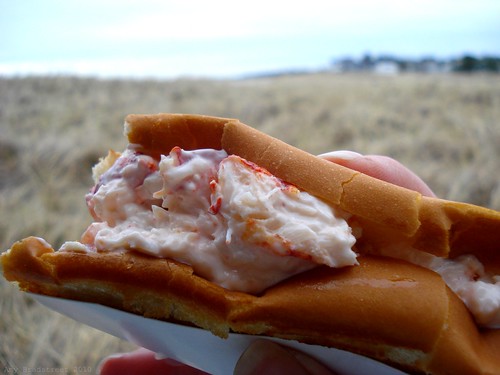 lobster roll for lunch
