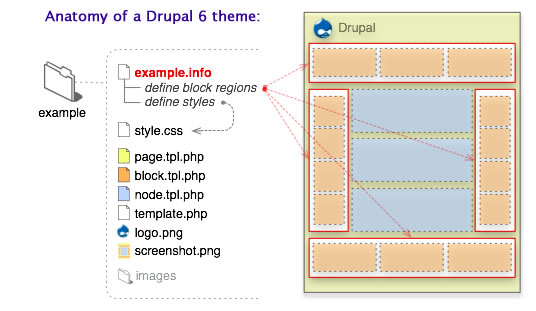 Drupal themes for you