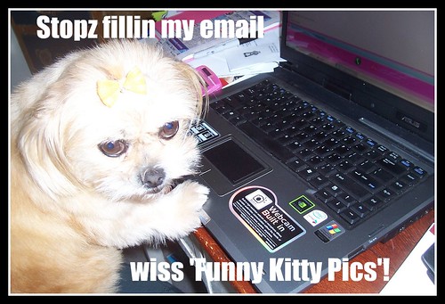 Doggy Email