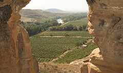 España: Rothschild se asocia a Vega Sicilia en Rioja
