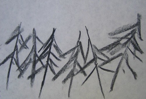 Trees drawings by Matthew Felix Sun 1