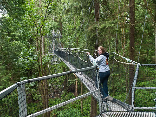 Hike in Canopy of Trees at UBC Botanical Gardens in Vancouver