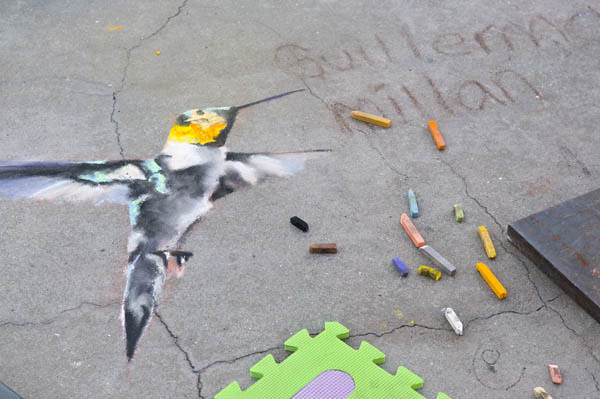 Chalk Festival Humming Bird