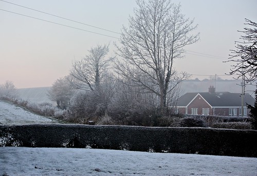 cold & frosty morning
