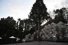 Tokyo 2009 - 箱根 - 彫刻の森美術館(12)