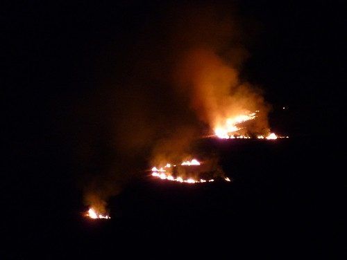 P1040120 - Grass fire at Llangennith, Gower