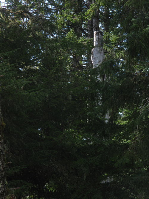 watchman on a totem pole in Kasaan Totem Park, seen from behind, Kasaan, Alaska
