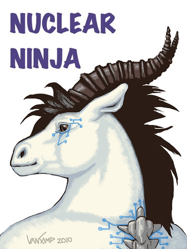 N Ninja