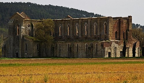 Basilica di San Galgano - Chiusdino (SI)