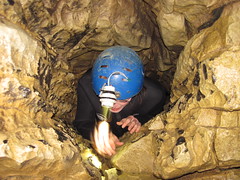 through the crevice