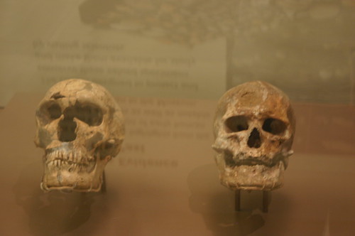 Treasured Neanderthal and Original Cro-Magnon