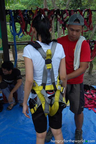 Being harnessed