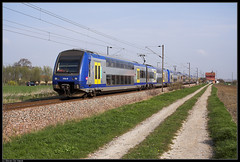 SNCF Z23559 @ Bissezeele