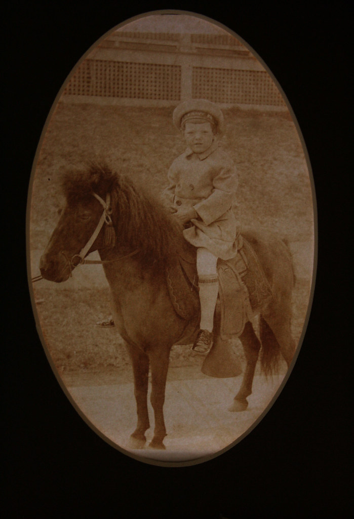 boy and his horse