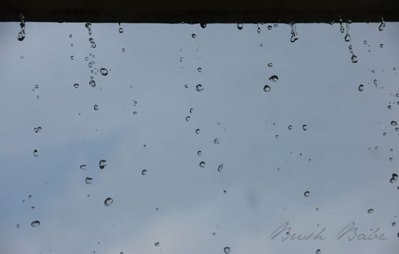 rain_0095