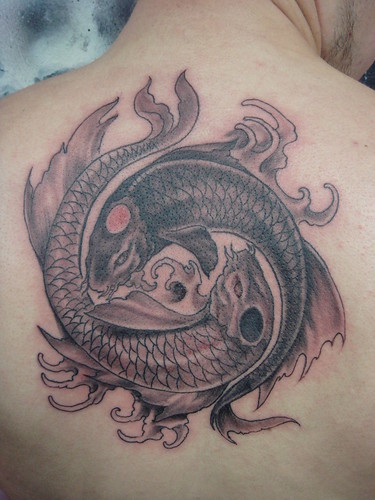  ying yang in koi fish style (Dejavu Tattoo Studio Chiangmai Thailand) 