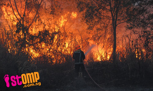  Bushfire the size of a football field rages at Tampines