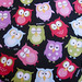 tecido importado (USA): Owls - IMP/01