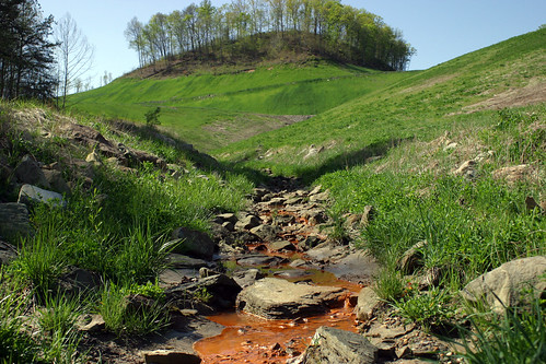 Runoff from a "Reclaimed" Mountaintop Removal mine in  Kentucky
