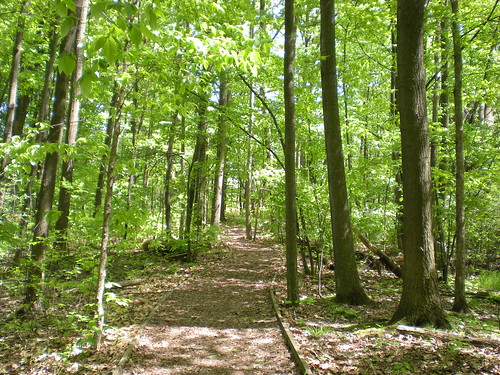 Nature Trail at Calvin College