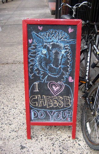 I love cheese!