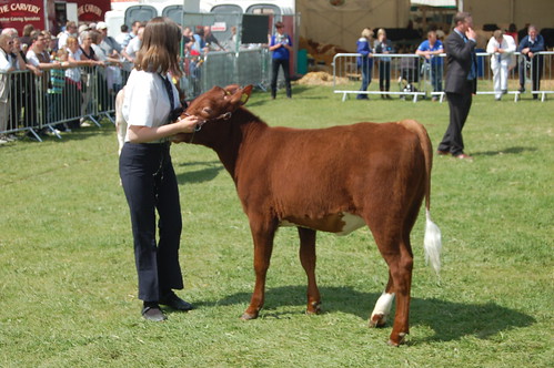 Northumberland County Show May 10 12
