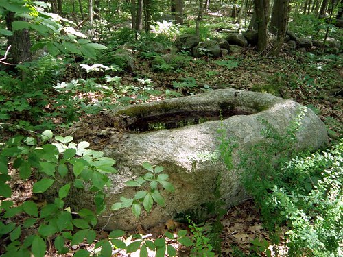 The old stone trough