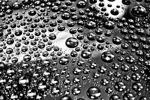 Water drops ©  Dima Bushkov