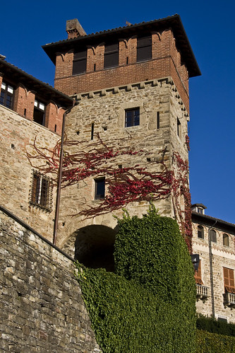 Tagliolo Castle #2