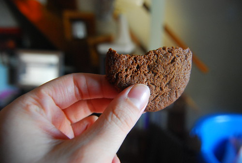 Nicola's Ginger cookie