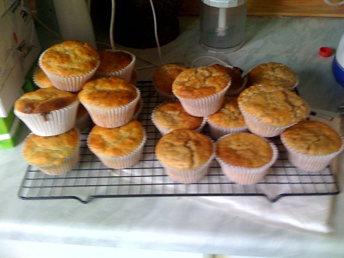 muffins!