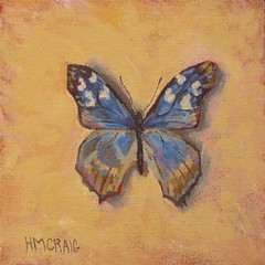 HMCraig-Turquoise-Smokey-Butterfly
