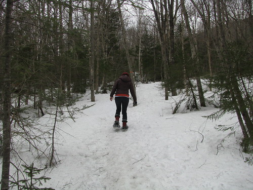 Snowshoeing at The Balsams