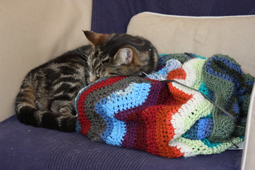 Kittys like crochet