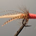 Mcknight's Whisper Shrimp Tan/Pink by Doug McKnight's Bigwater Studio