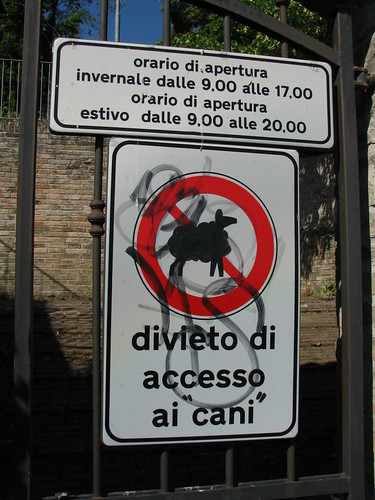 Streetart in Urbino