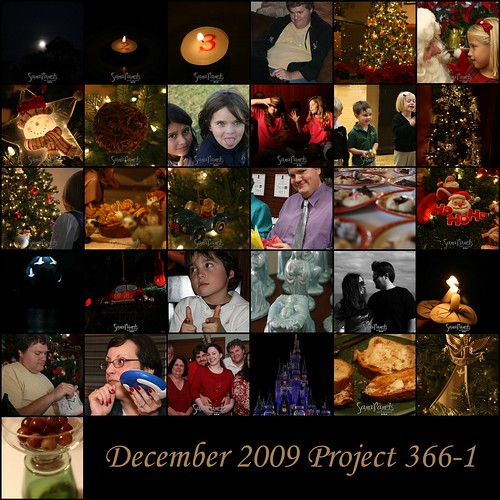 Dec 09 Project 366-2