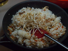 Orange Chicken with Fried Rice