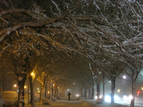Winter Walk in Crown Heights