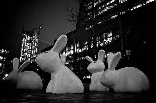Roll in, Roll out, Roll up to the Bunny Club - 22/365