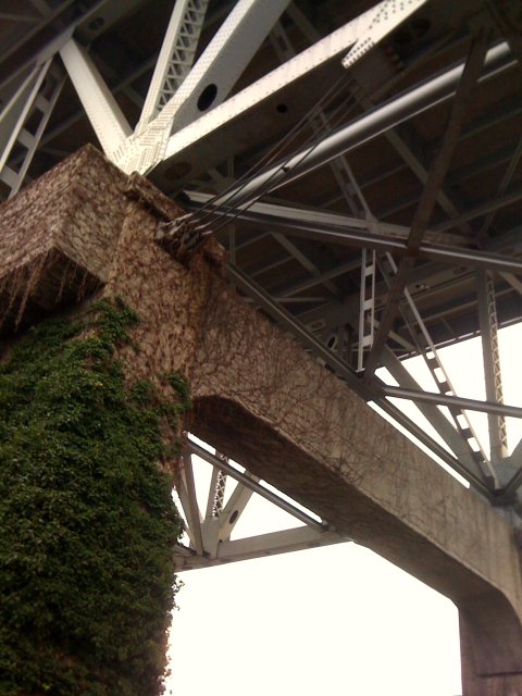 crossbeams and ivy
