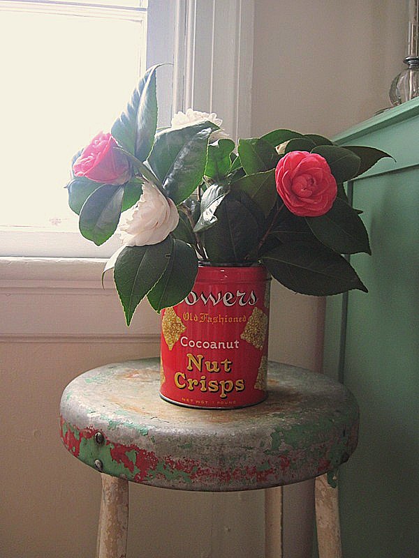 Vintage tin of camellias