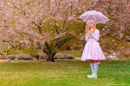 Alice au pays des arbres roses
