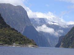 Back To Milford Sound