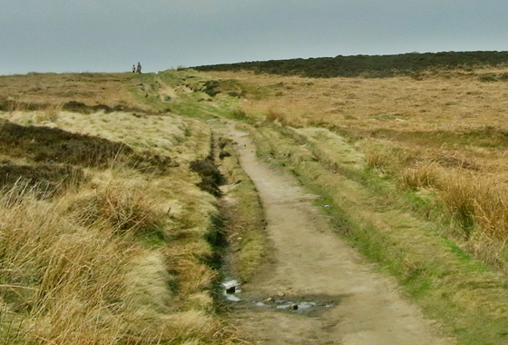 Ilkley Moor Walk