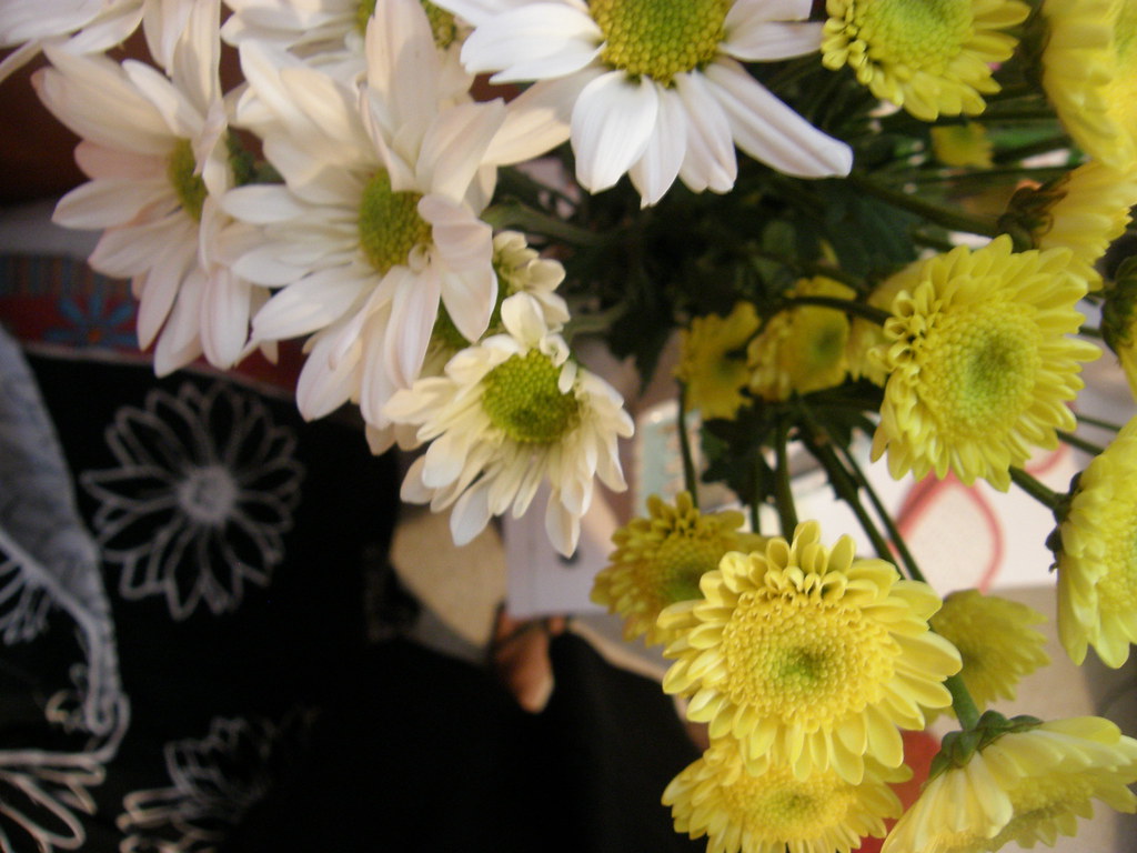 vase full of daisies.