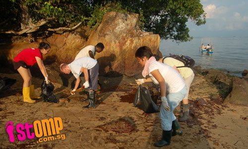  Good job, volunteers, for cleaning up oil slicks on Pulau Ubin