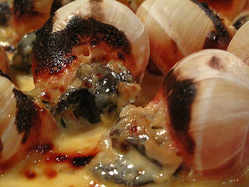 IMG_5314 Escargot with garlic sauce