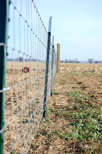 fence in place